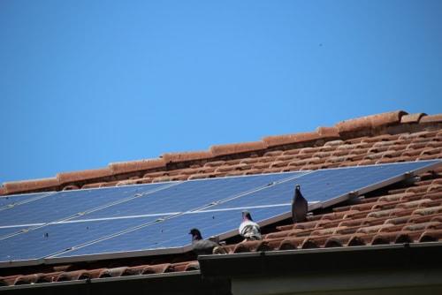 5 Common Problems Of Solar Panels